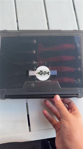 Essentials for Saltwater Fishing Adventures