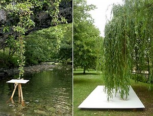 TREE DRAWINGS! Tim Knowles Arbor Interpretations