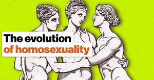 The evolution of homosexuality: A new theory