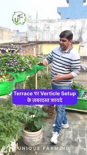 गर्मी से बचाव, ज़्यादा पौधे, कम खर्च 😍 Garden में Vertical Setup के ज़बरदस्त फ़ायदे #verticalsetup #verticalgarden #uniquefarming #gardentips #terracegarden #uniquegarden #homegarden | Unique Farming
