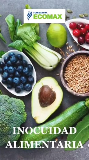 Fumigadora ECOMAX on Instagram: "Inocuidad Alimentaria Cada proceso necesita Control Integral de Plagas Servicio de Calidad ✅️ Control Integral de Plagas ✅️ Certificado de Fumigación ✅️ Inspección Gratis No esperes más Contáctenos! WhatsApp 6198-1724 ECOMAX "Tu aliado contra las plagas" #inocuidadalimentaria #fumigacion #controldeplagas#"