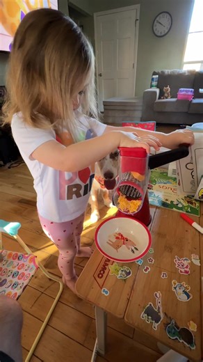 Indy eagerly awaiting some cheese | Chris Daniel