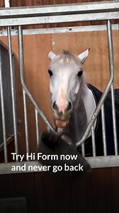 Feed your four-legged friends 🐎 the food they deserve ​​▶️ quality nourishment designed specifically for their herbivorous needs 🌱 Made with human-grade ingredients, Hi Form equine supplements provide superior nutrition and health benefits and naturally support your horses’ well-being. Turn your back on poorly made products that don’t make sense for a herbivorous diet. Instead, press (Shop Now) and browse Hi Form’s wide range of products to cover your horses’ nutritional needs. ⭐️⭐️⭐️⭐️⭐️ "My 