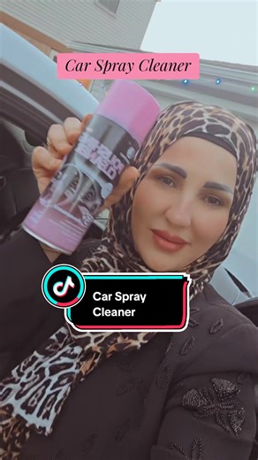 Car Interior & Exterior All-Purpose Cleaner