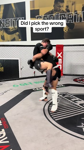 MMA vs Sumo: Highlights and Training Insights