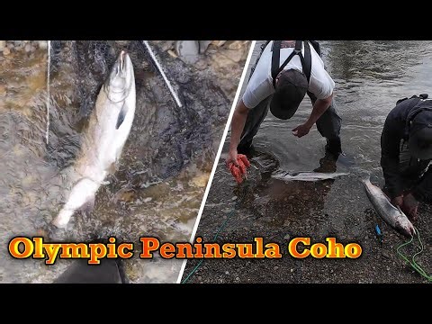 Spinner fishing the Olympic Peninsula for Coho & Chinook