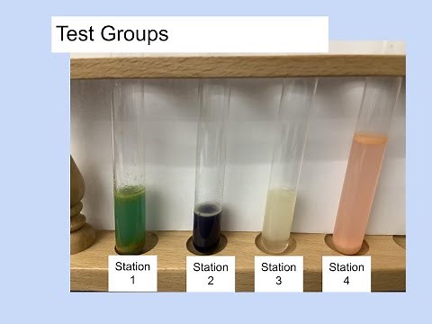 Macromolecule Murder Mystery Lab at Home