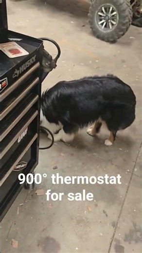 2005 Jeep grand cherokee 5.7 hemi brand new thermostat failure #diy #hemi #trending #mechanic