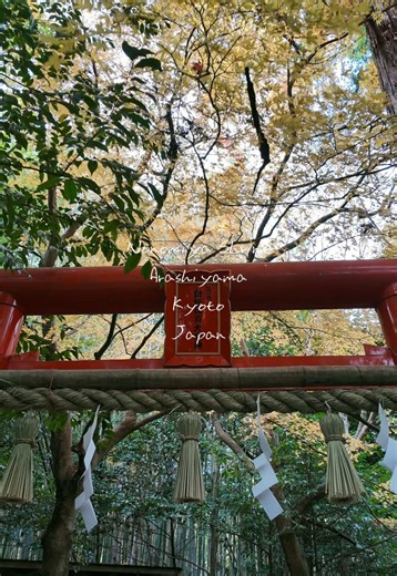Exploring Nonomiya Shrine in Arashiyama, Kyoto
