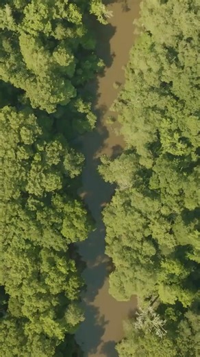 This time of year feels lighter here. Less hurry, more room to settle into the day. Start planning your visit at discoverthomasville.com #DiscoverThomasville #JanuaryWander #SouthernEase | Discover Thomasville, GA