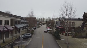 Ladner Village residents debate revitalization project