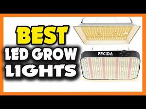 Top 5 Best LED Grow Light in 2023