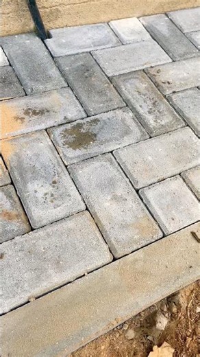 Why I choose THIS sand for paver joints 👀 #satisfying #diy #landscaping #landscape