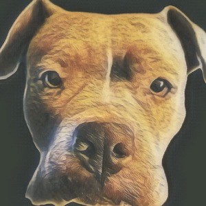 CayleyBoops - Twitch