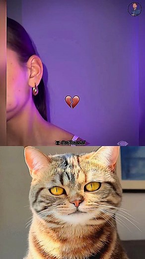 2K views | give this video title (warning answe) #memes #viral #funny #foryou #dance #RelatableCats #memecats #CatReactions #catmemes #Welcome #cattutorial The Oreo Cat | Cat Tutorial | Facebook