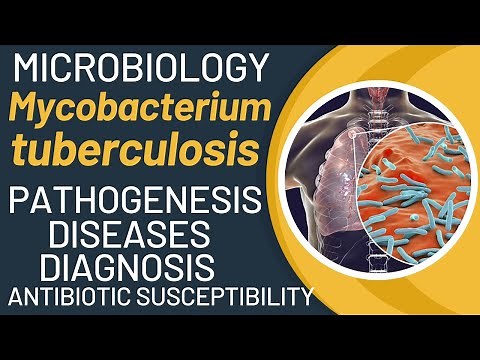 Mycobacterium tuberculosis disease | Mycobacterium tuberculosis pathogenesis | TB lab diagnosis