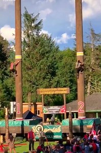 Running in wooden pole... 🏃 🏃 🏃 | Electrical Transmission Line