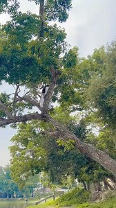 Ami o gace otte pari🤭 | Tasniya Tanim