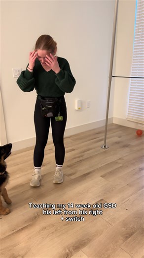 Enhancing Proprioception in German Shepherd Puppies