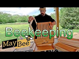 Beekeeping Tips for Beginners + Assembling a MAYBEE Hive Kit