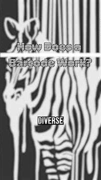 How Does a Barcode Work? #howitworks #barcode #shopping #how