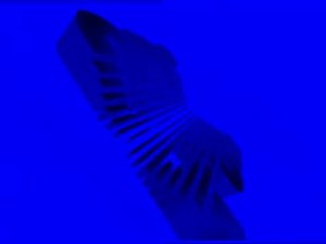 CBS Fox Video Effects