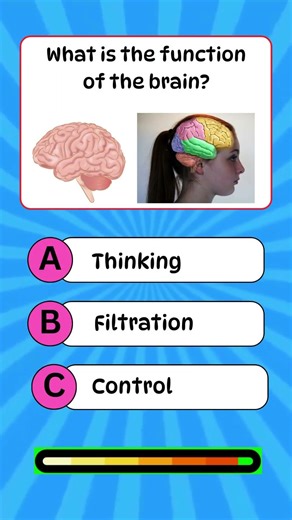 How Many Brain Questions Can You Get Right #braintest #quiz #iqtest