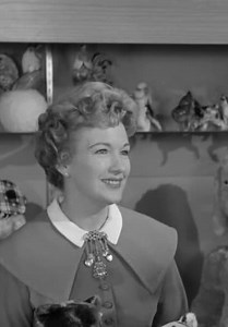 The Adventures of Ozzie and Harriet S07:E21 - The Exploding Book