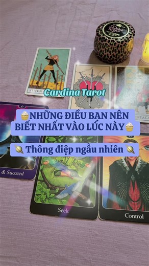 Những điều bạn nên biết nhất vào lúc này - Cardina Tarot