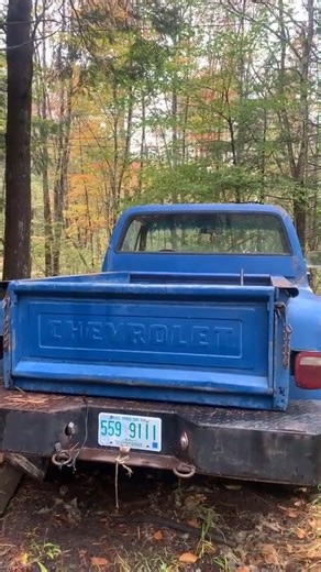 305 Small Block Chevy Idle