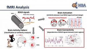 【官方授权】【fMRI Analysis】20-[Lesson12-session1]Dynamic Causal Modeling of fMRI