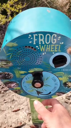 #frog #froglaughingmeme #fyp