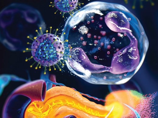 Advanced materials期刊封面鉴赏