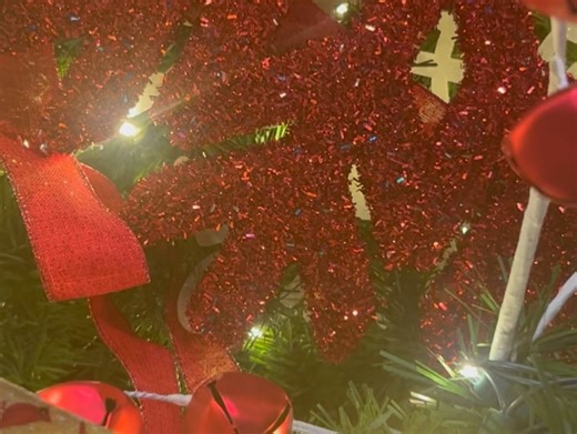 Liberty Science Center on Reels | Facebook