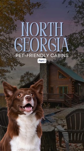Welcome to Part 1 of our Pet-Friendly Cabin Series — where your dog...