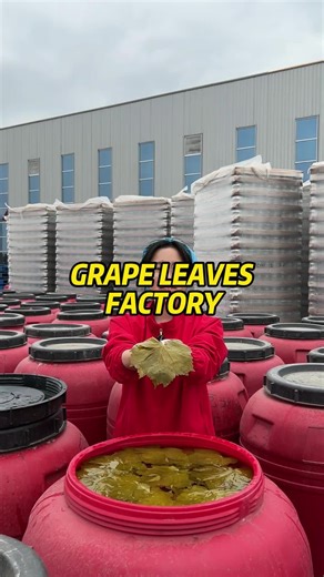 Premium Grape Leaf Products from Our Factory