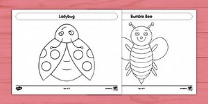 Bugs and Insects Colouring Pages