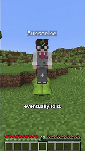 Dripleaf chest in minecraft