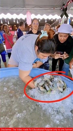 Unbelievable Fish Challenge! Catch As Much As You Can for Just 100 Taka!