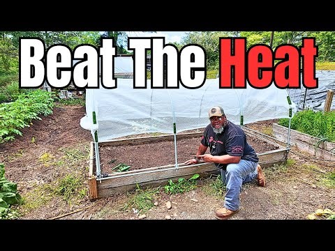 Preparing For The Summer Heat Starts NOW!