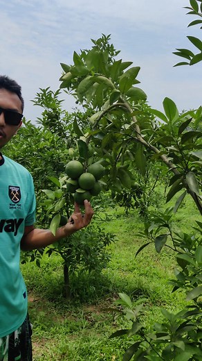 my Bagan ia? (Garden Nama??) #viralreelsシ #malta #fruitlover | Garo's Vlog