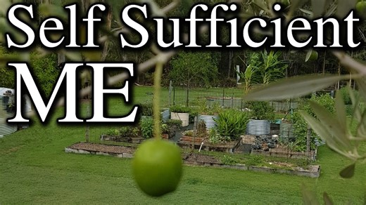 Homestead harmony: Growing, harvesting & living sustainably every day