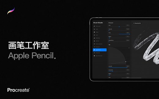 Procreate 教程 - 画笔工作室之 Apple Pencil