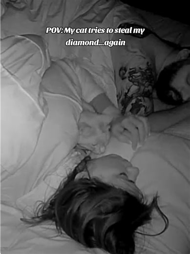 My Cat Tries to Steal My Diamond Ring