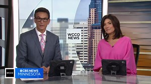 Minnesota artist wins seventh Federal Duck Stamp competition