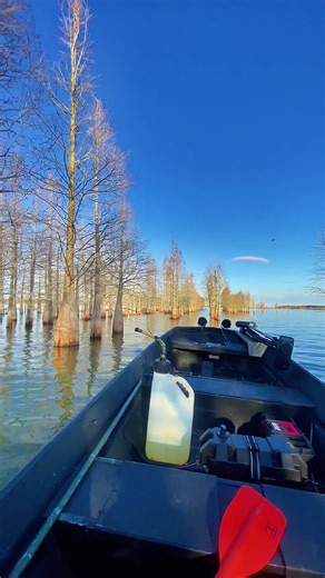 Have Fun in the South with Boats and Mud Motors