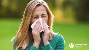 How pollen affects your health