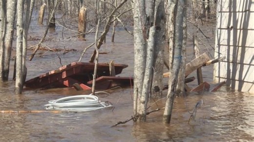 N.B. Floods: Saint John water levels dip below flood stage - The Weather Network