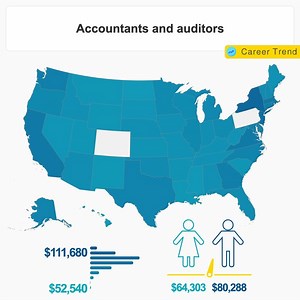 Claims Auditor Job Description