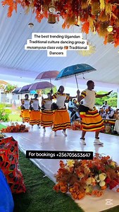 94 reactions · 3 comments | The best trending Ugandan Traditional Dancers #dance #wedding #reels #foryoupage #uganda #fyp #culture #trending #kwajula #uganda #fyp | Amazing culture music | Facebook